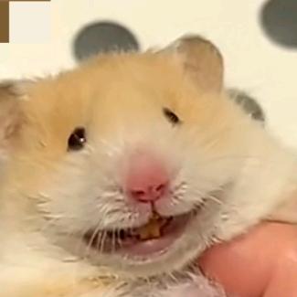 。？。？。？