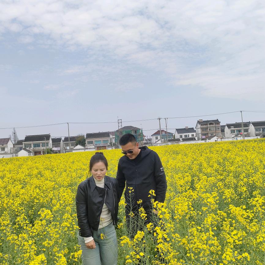 黄JIE