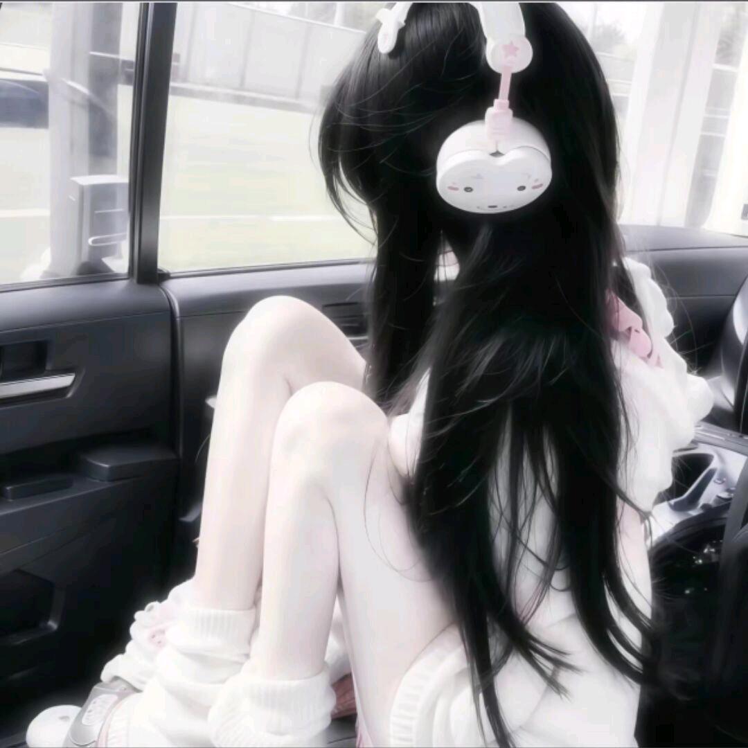 波力海苔
