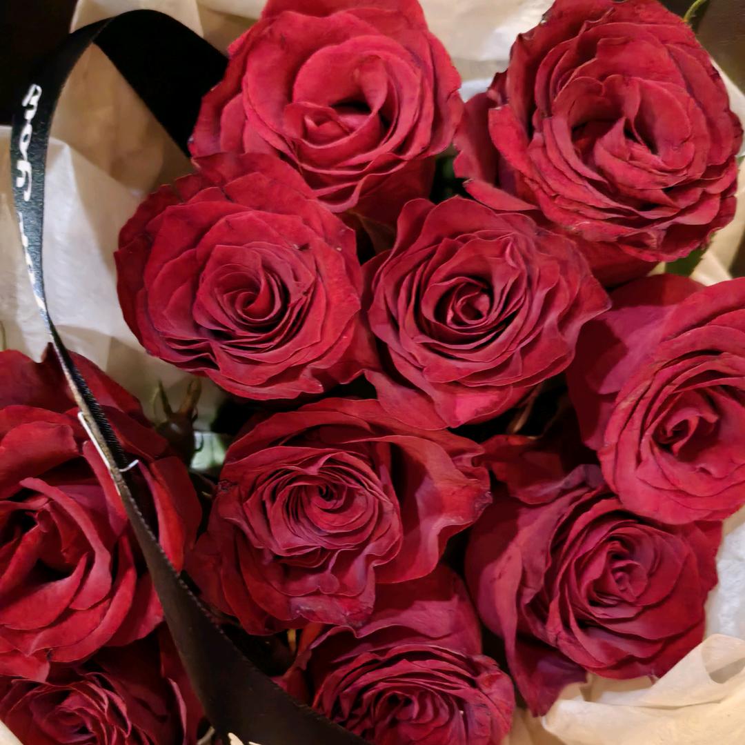 未来可期🌹🌹🌹