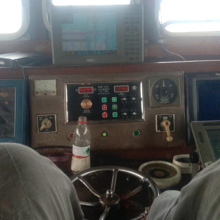 海马