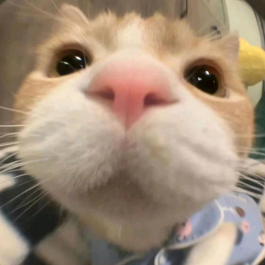 小叮当