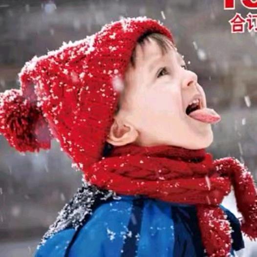 木材经纪人