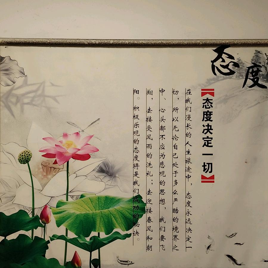 邓州王哥