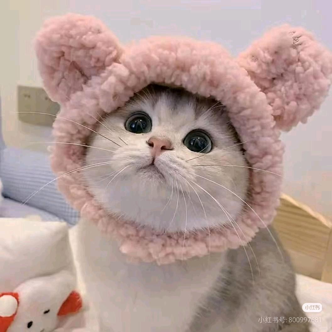 素年锦时