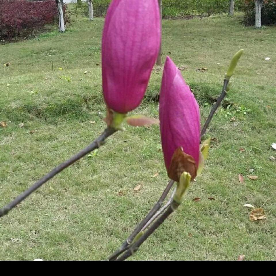 👍👍👍