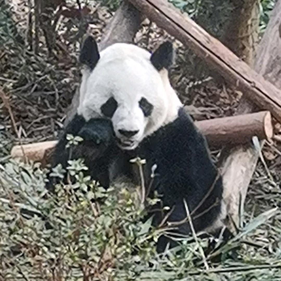 冬至🐒