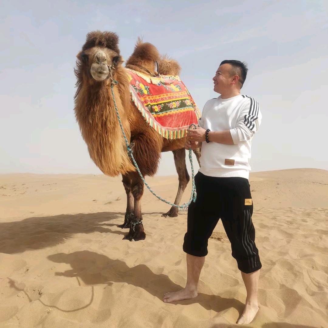 憨豆先生
