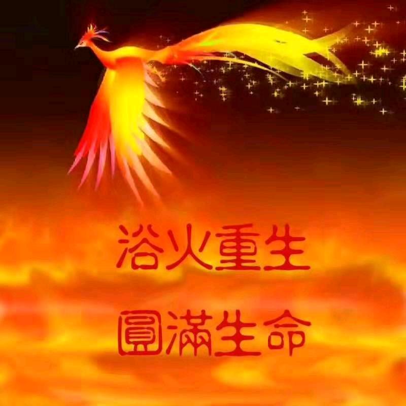 ℋღ᭄万事~胜意᭄💞࿐