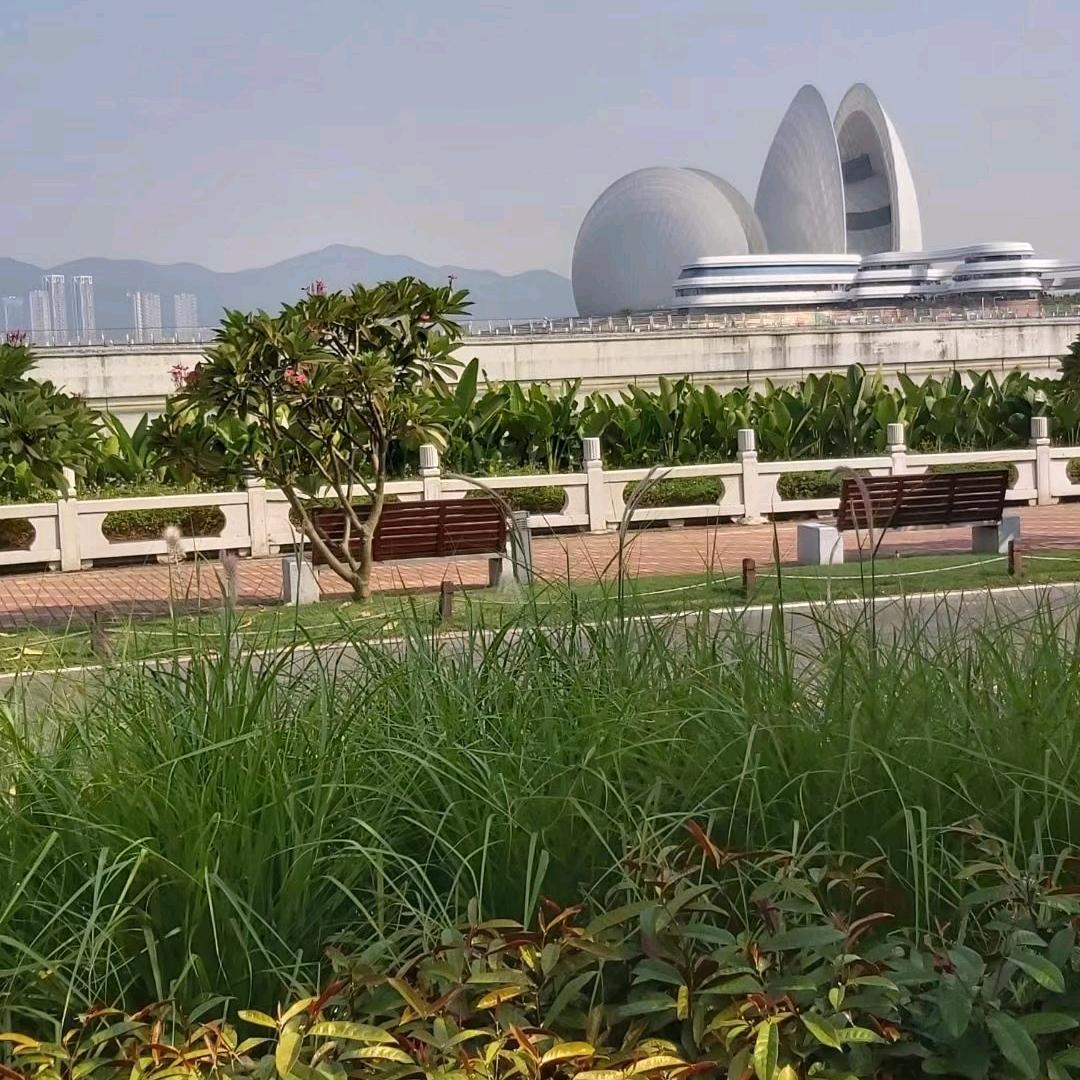 无悔这一生.