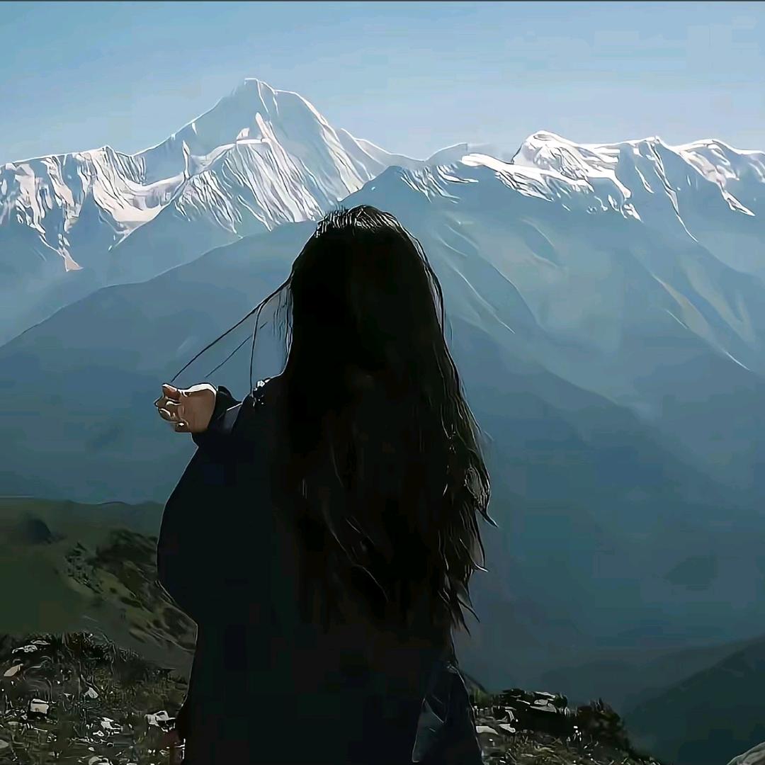 运气爆棚的锦鲤