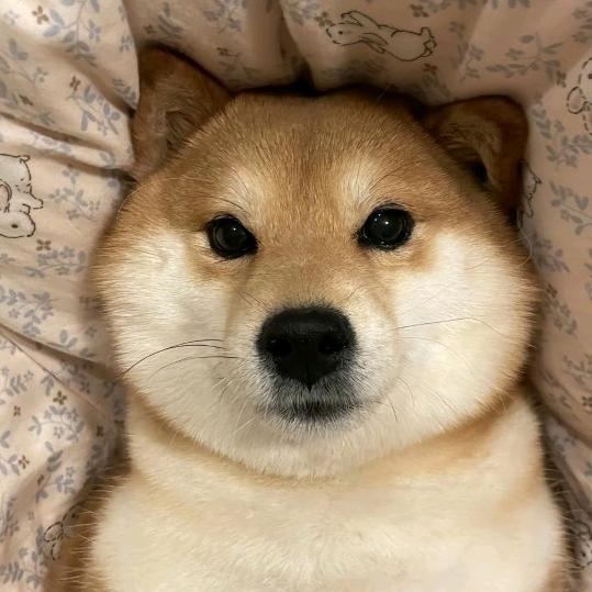 可以尝颗葡萄试试