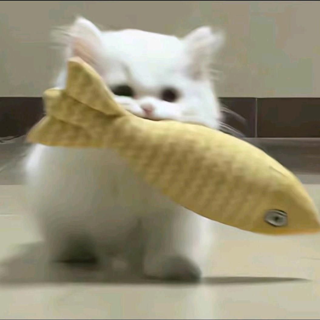 苏州育才