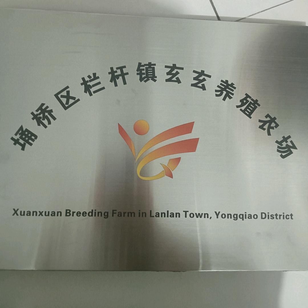 小董 种鸭养殖日记