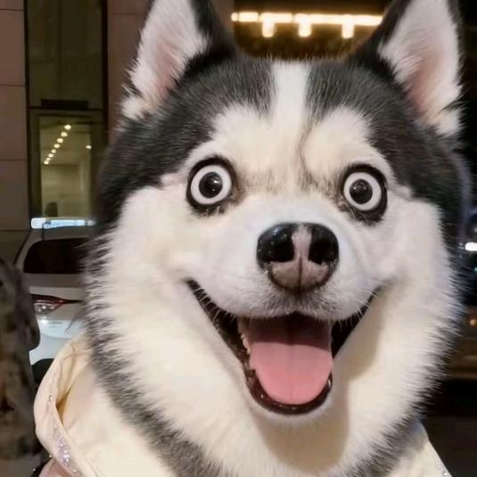 猴皮筋抽你吖