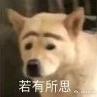 秋呗