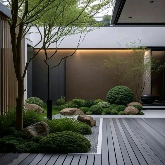 森