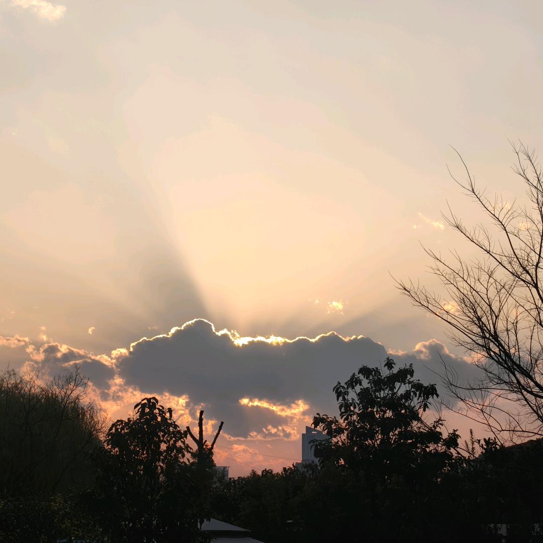 小人物之似水年华
