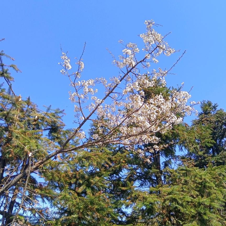 梦醒时分