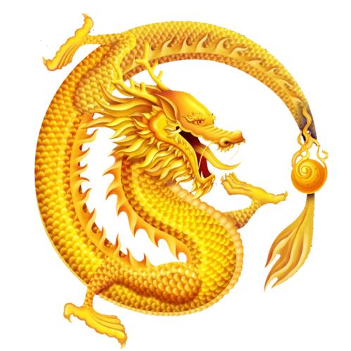 龙的传人