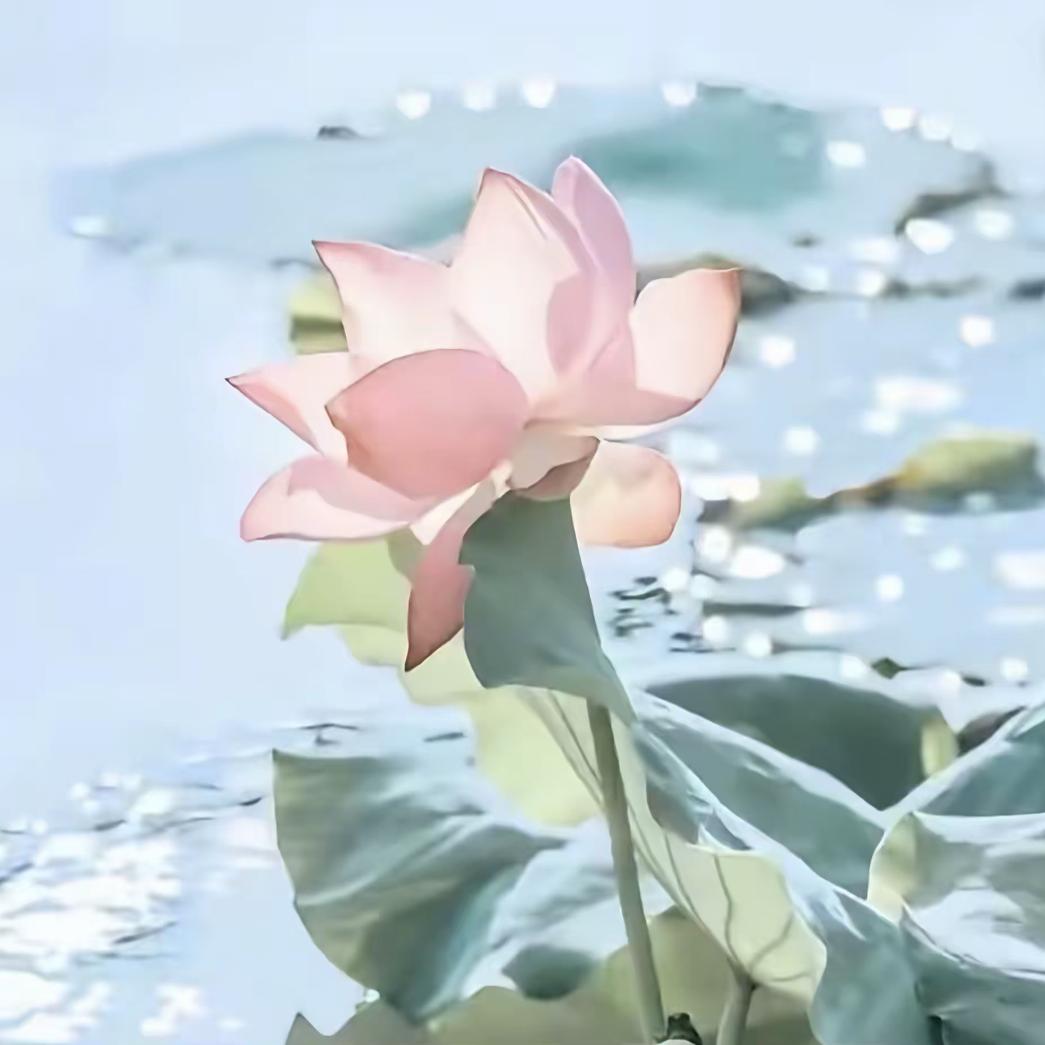 上善若水，向阳而生