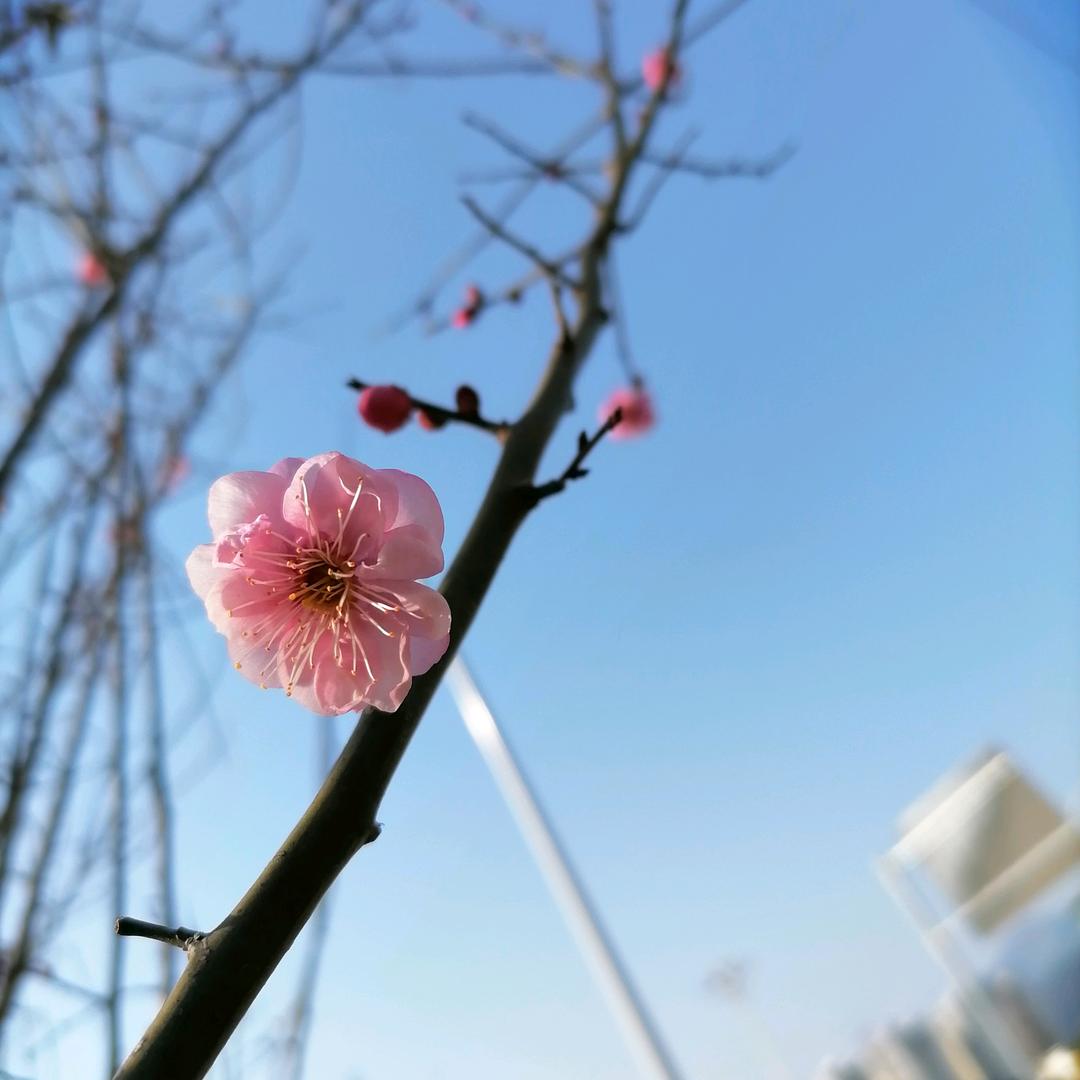 用户香香姐