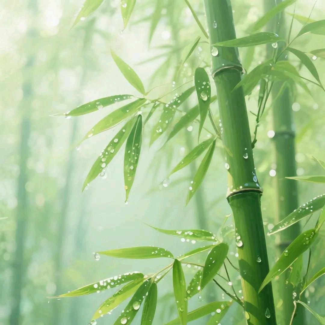 ℋღ᭄小🍒乖᭄乖💞࿐