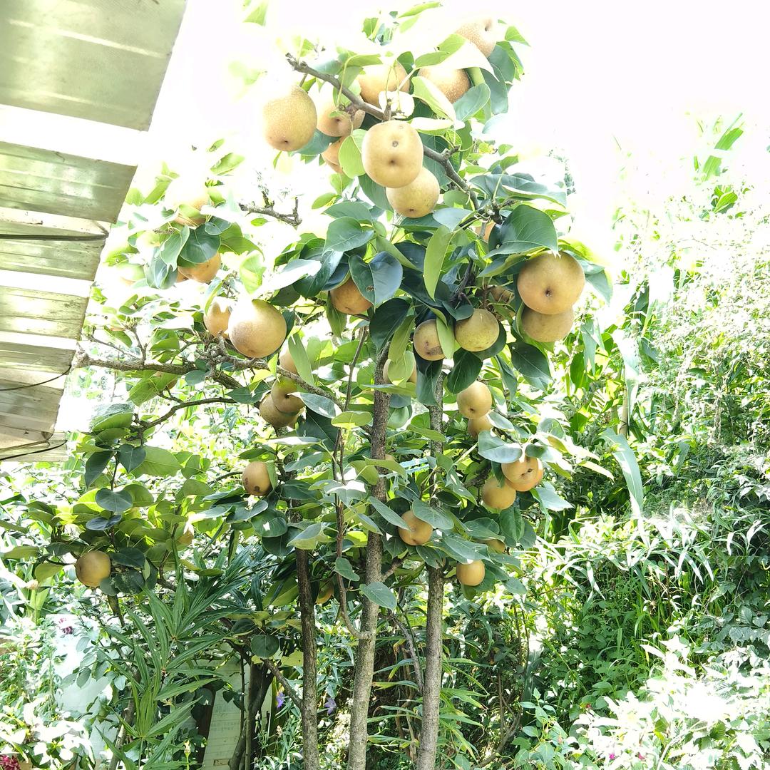 随心随缘缘