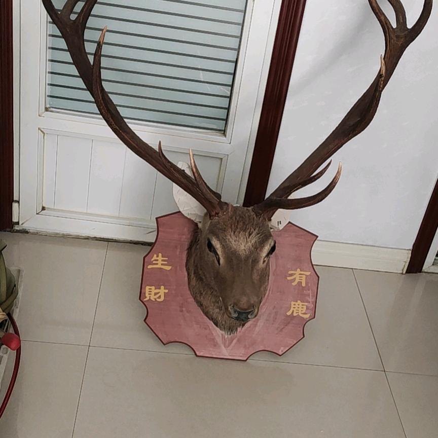 用户84811063265鹿鹿95