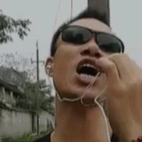 聚华红木～～～丁嘉红