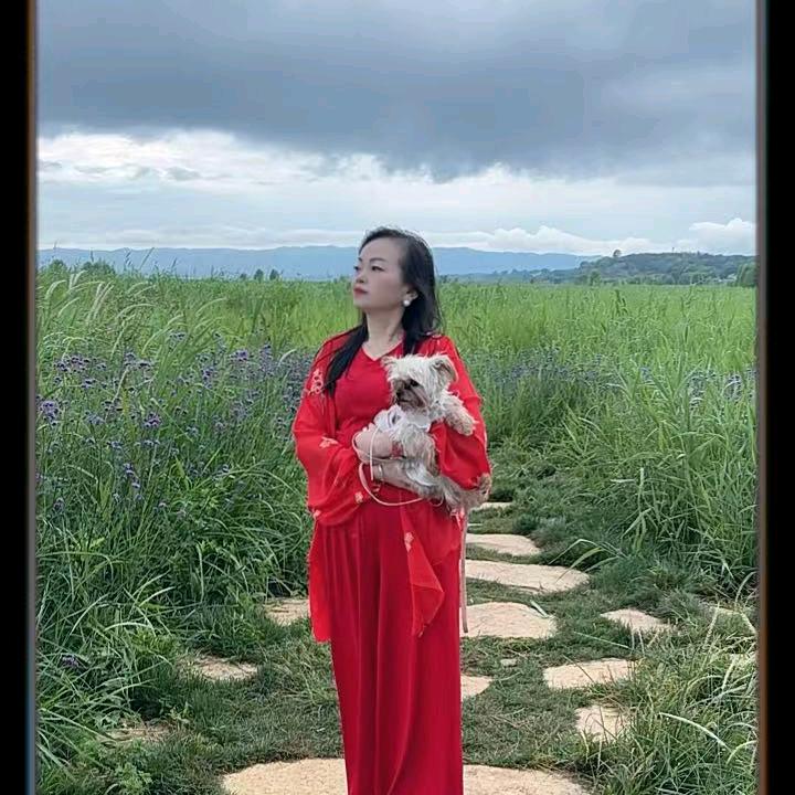 琴儿
