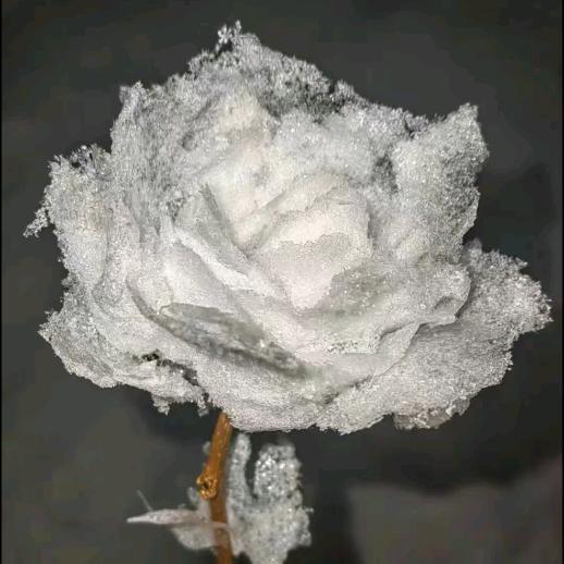 别丢弃风度