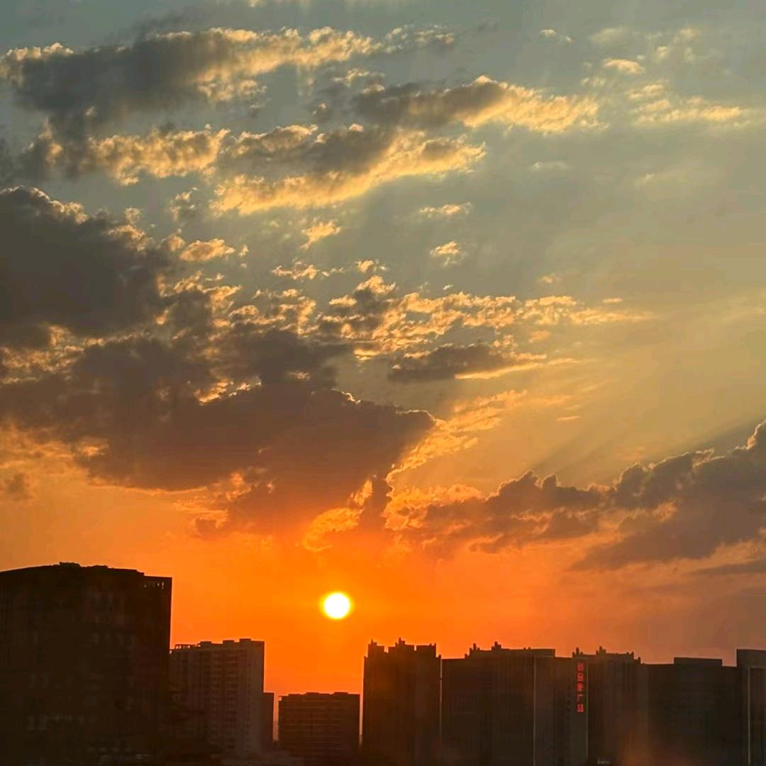 A非遗申报代办