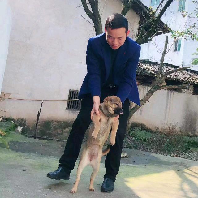 大￥鹏