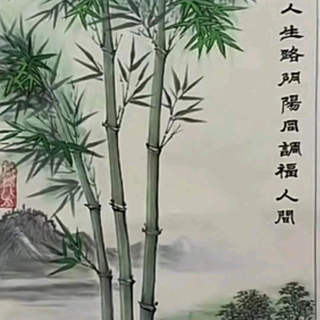 张老师品质说
