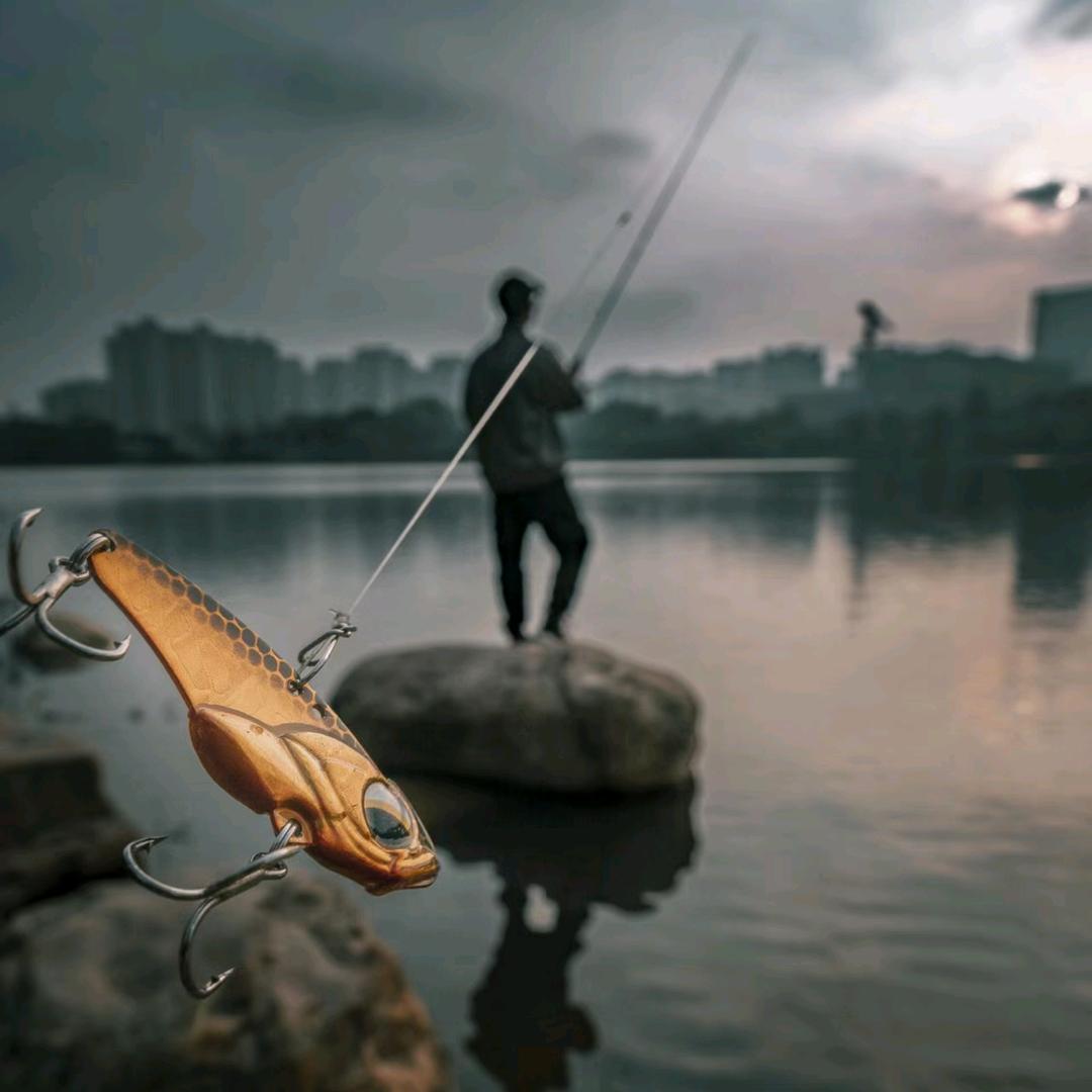 凯哥爱钓鱼𓆡𓆝𓆟𓆜🎣
