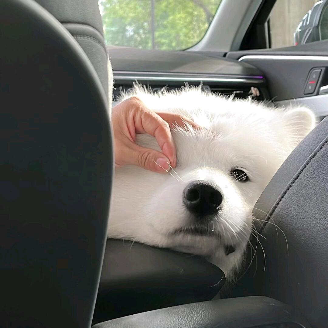 许七安