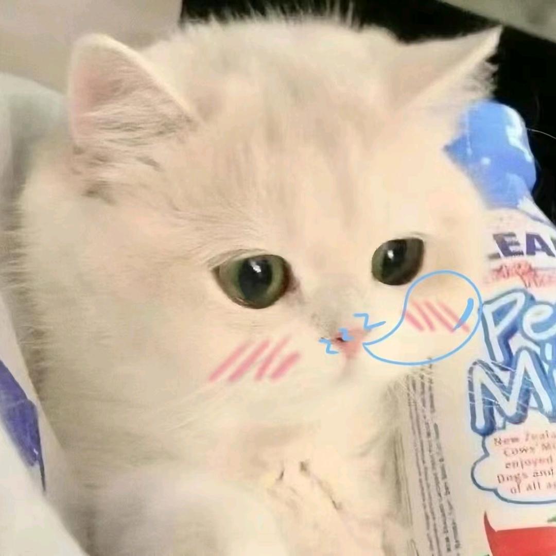 喵喵大王🌈（＞ｙ＜）