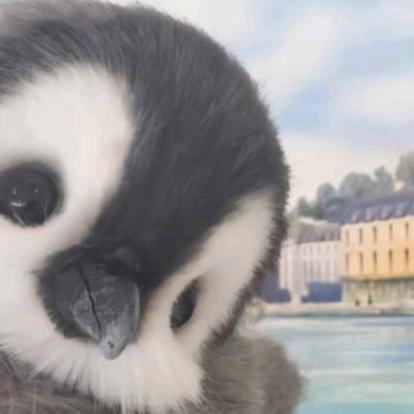 有缘者自会相逢