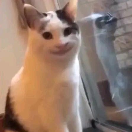 小智•᷄ࡇ•᷅