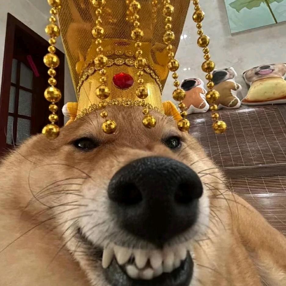 信