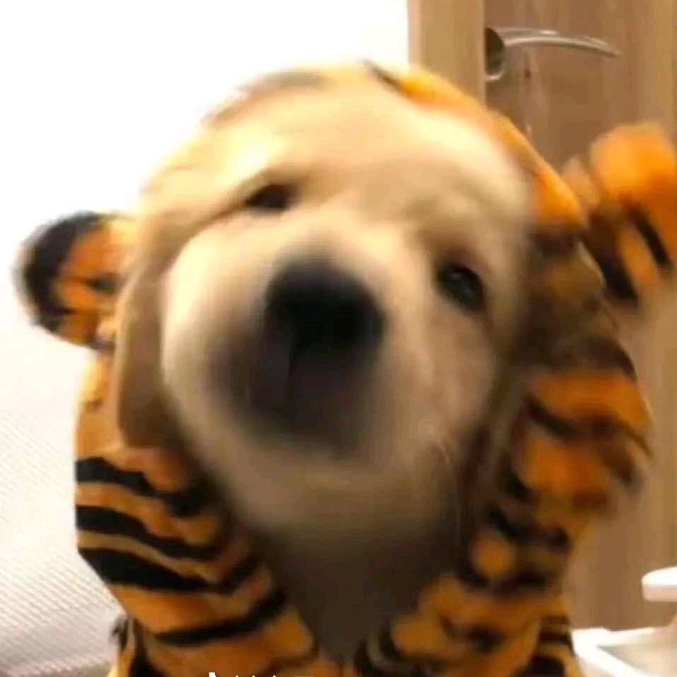 富贵儿