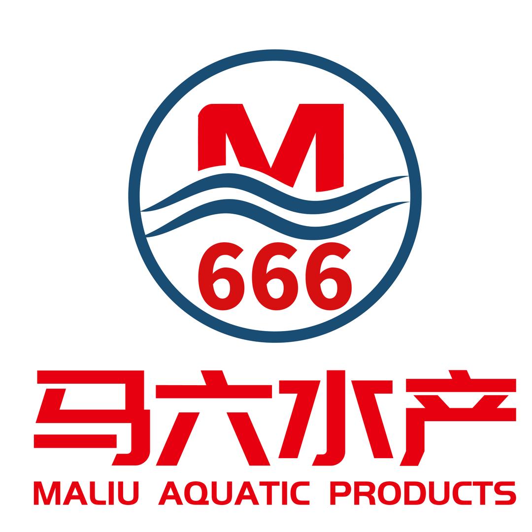 六六