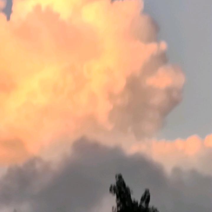 玩偶熊