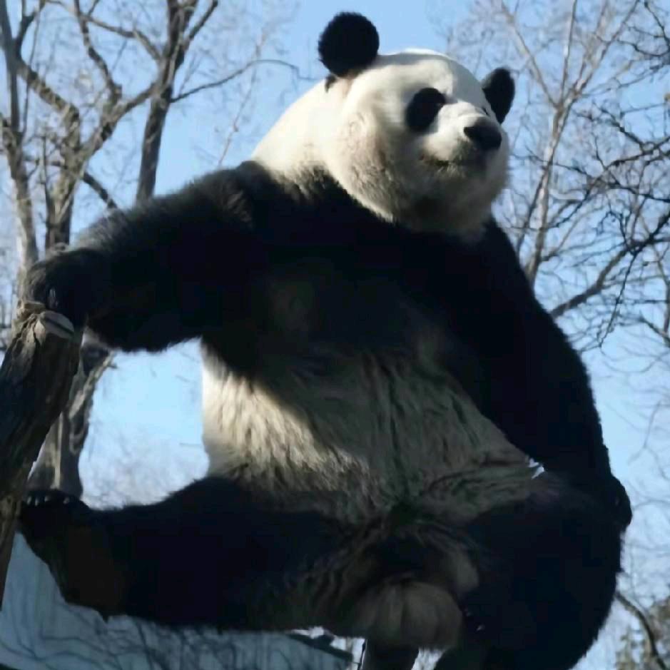 美美小富婆