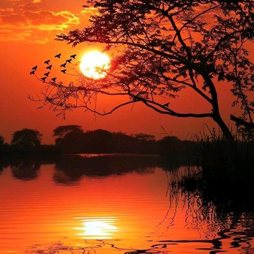 醉夕阳