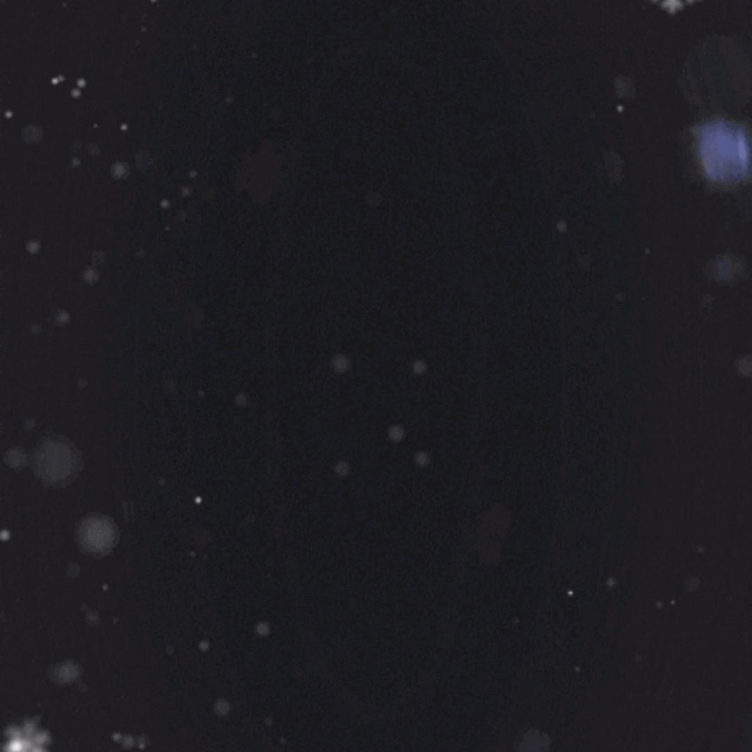 暮词