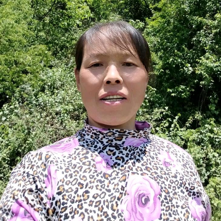 熊妹.1（中午1:20开播。）