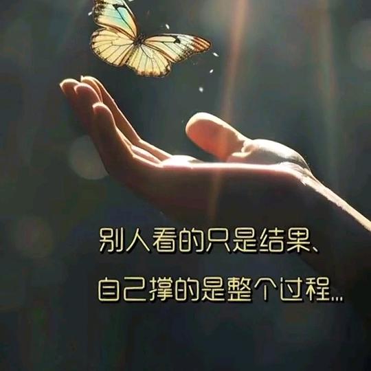 羽羽