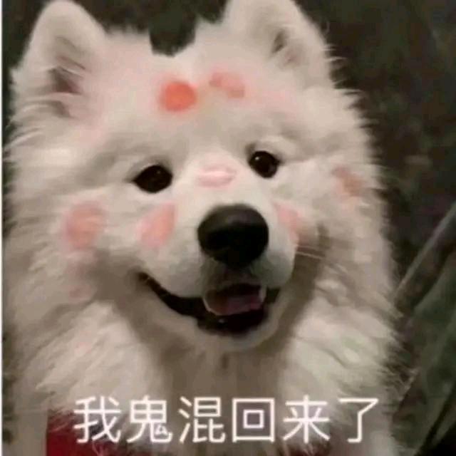 青灯可否w (抽风版)